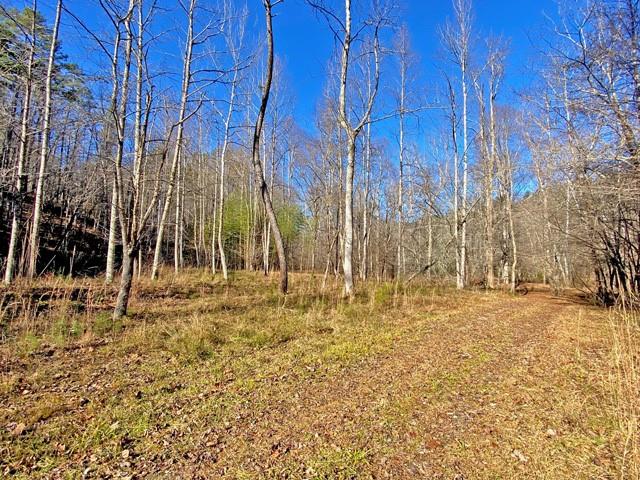 191+/- Acres Off Hwy. 136 Property Photo 83