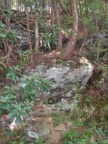 191+/- Acres Off Hwy. 136 Property Photo 86