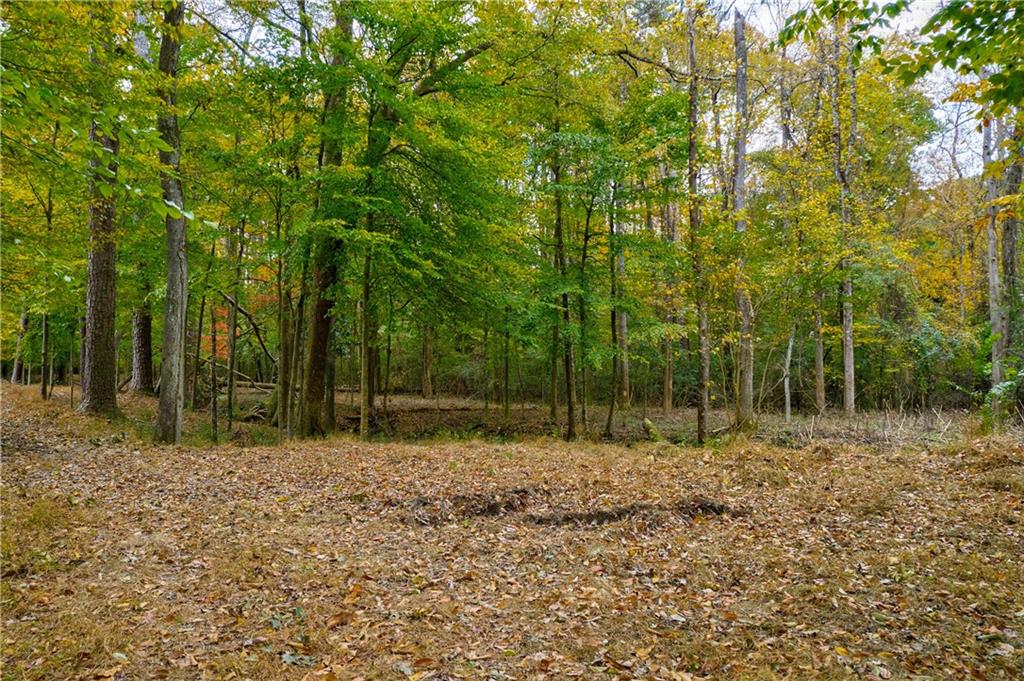 4397 Brookview Drive Se Property Photo 9