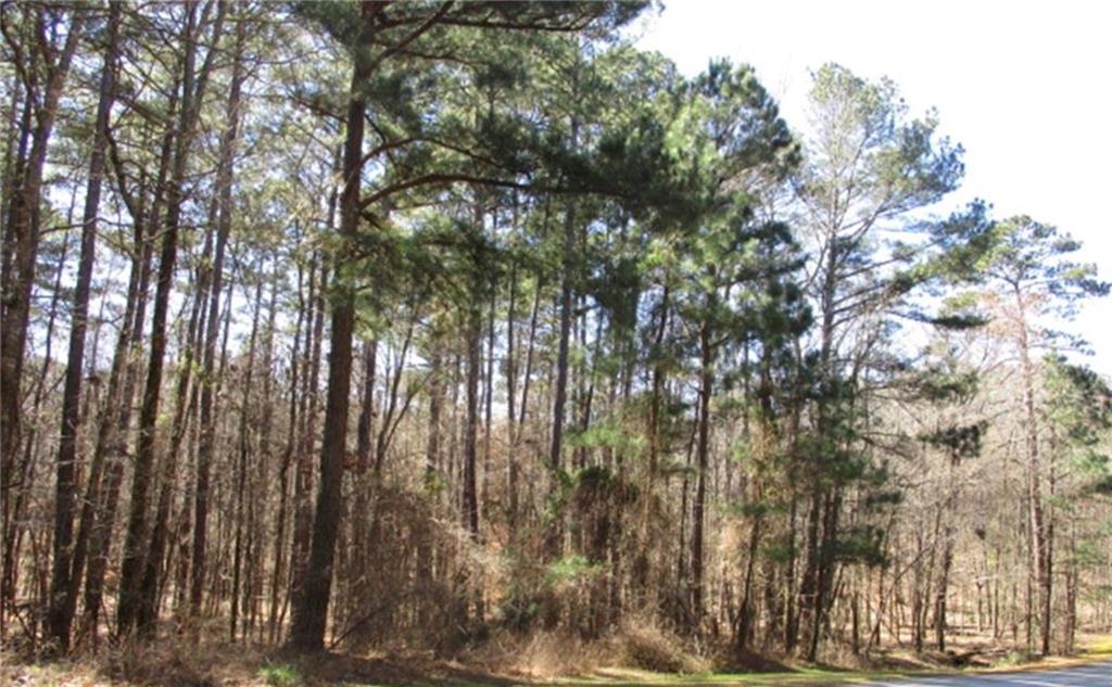 1170 Anchor Bay Property Photo 3