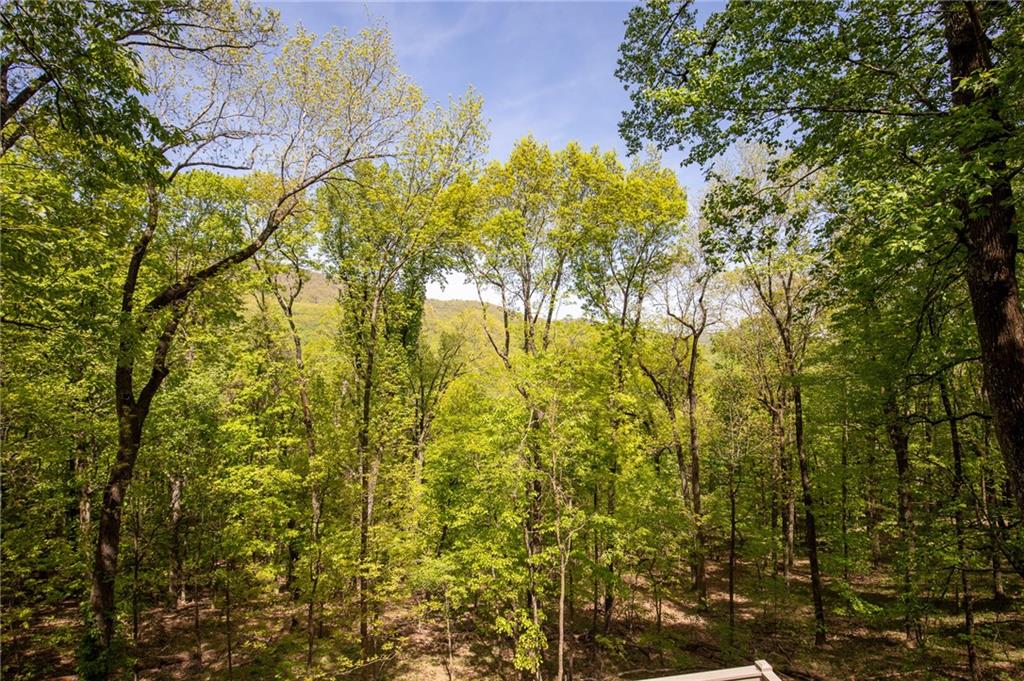 168 Locust Lane Property Photo 15