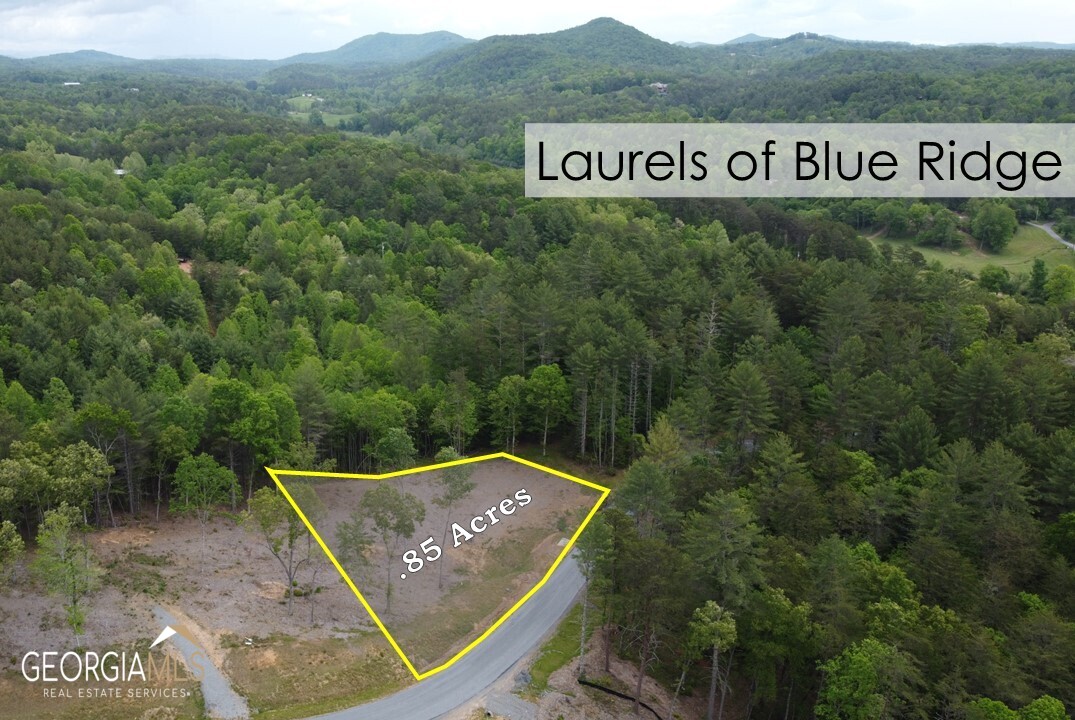 1 Mountain Laurel Ridge Property Photo