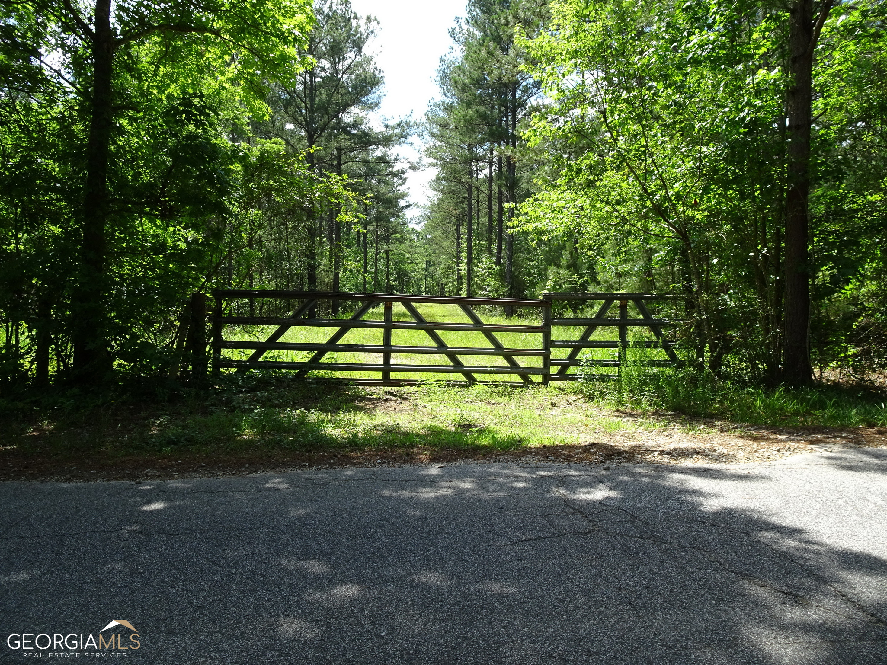 60+ Ac Byrd And Townley Rds Road Property Photo