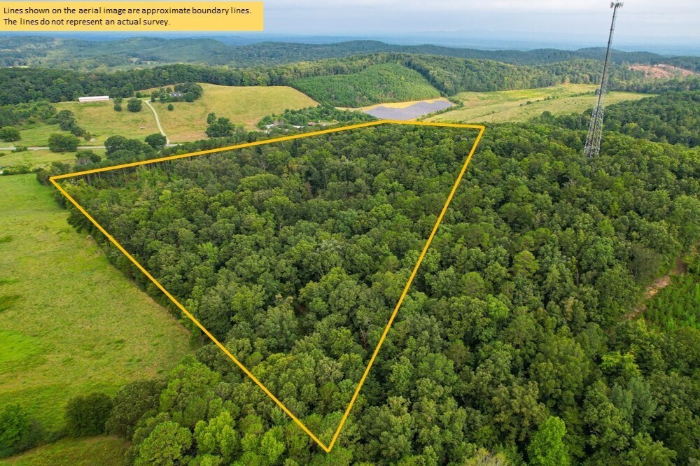 18 +/- Acres On Gadsden Rd Sw (us Hwy 411) Property Photo