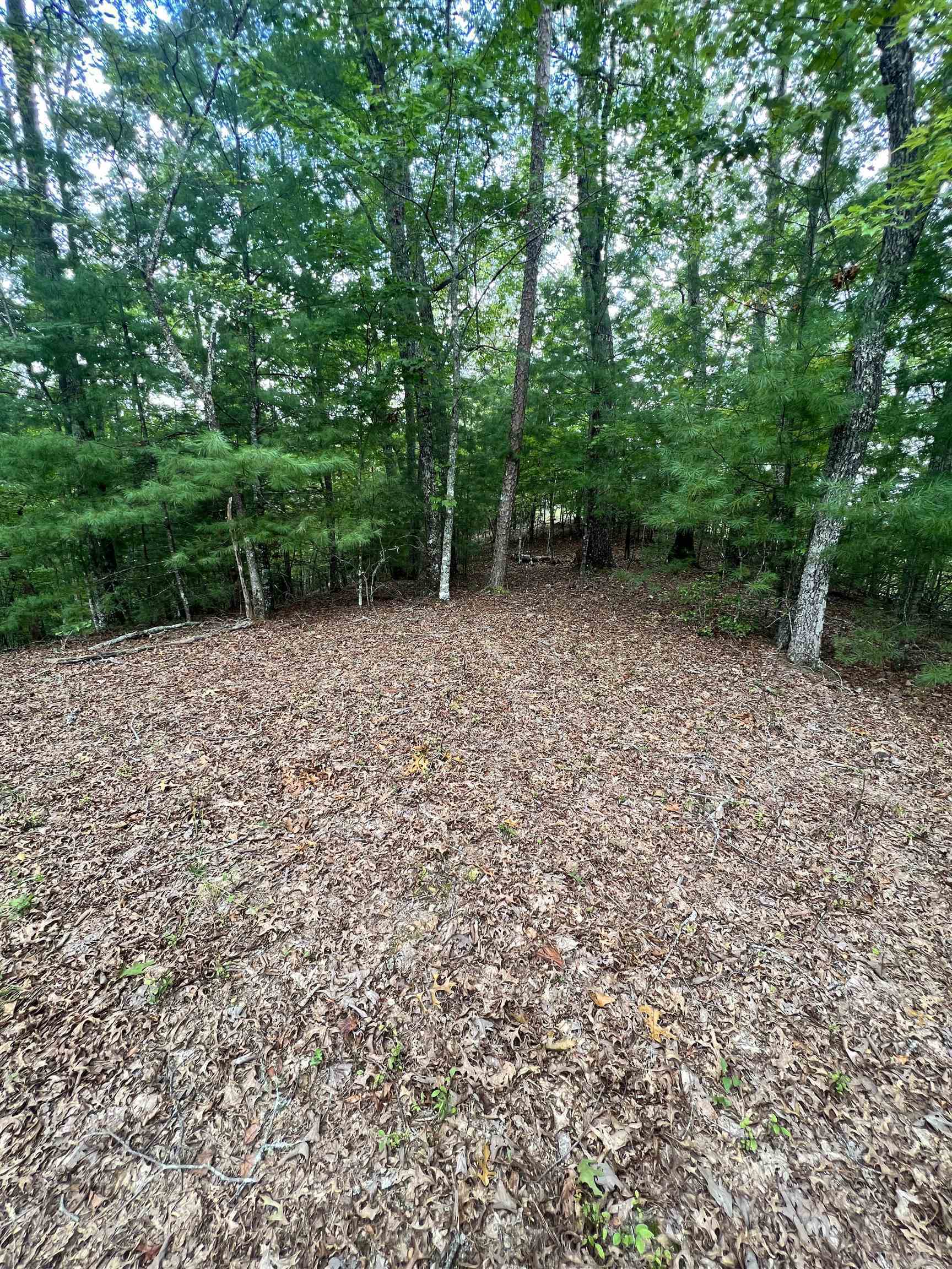 14 Lots Hedden Pines Property Photo