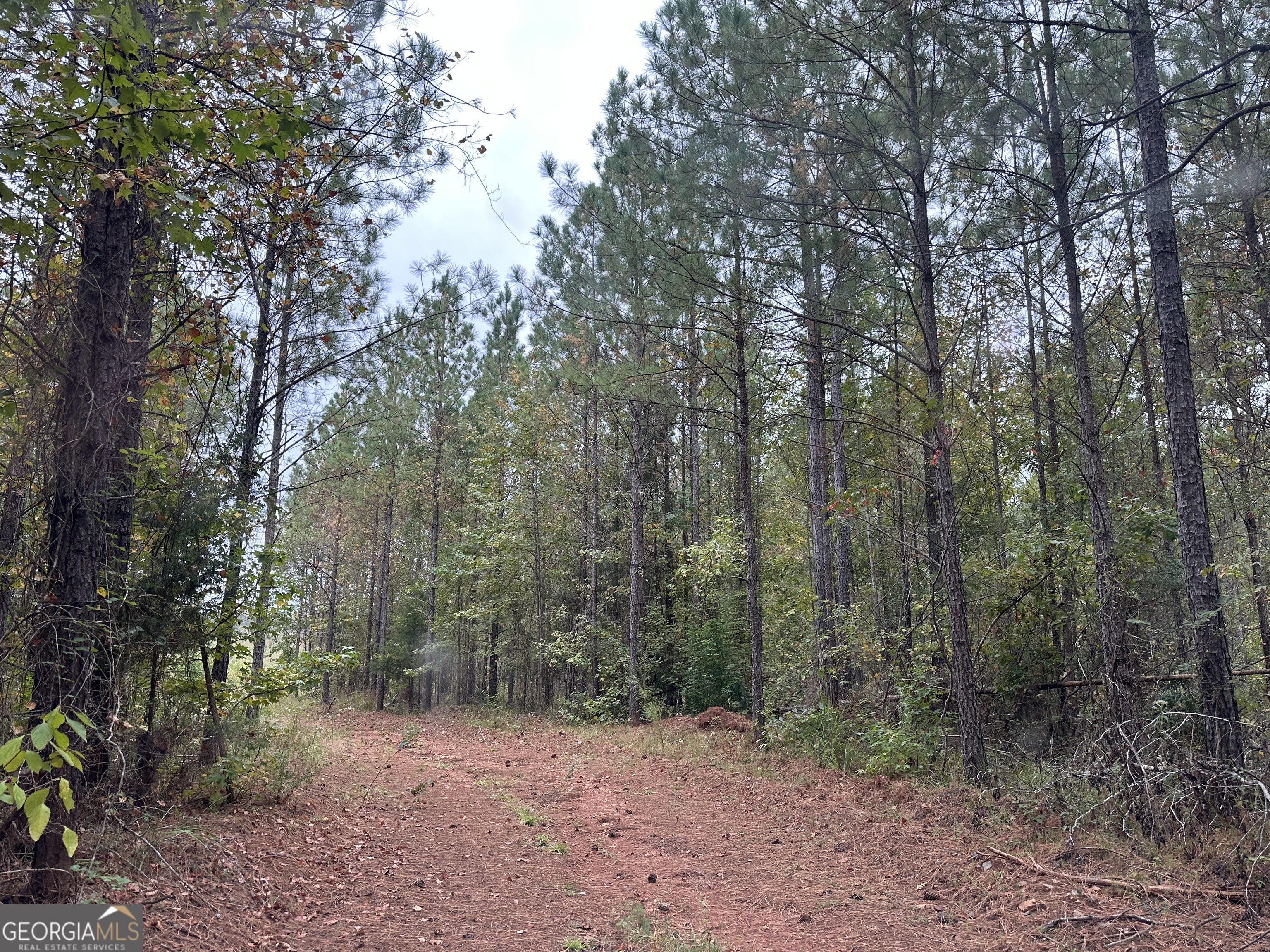 Lot #3 Highway 208 Property Photo