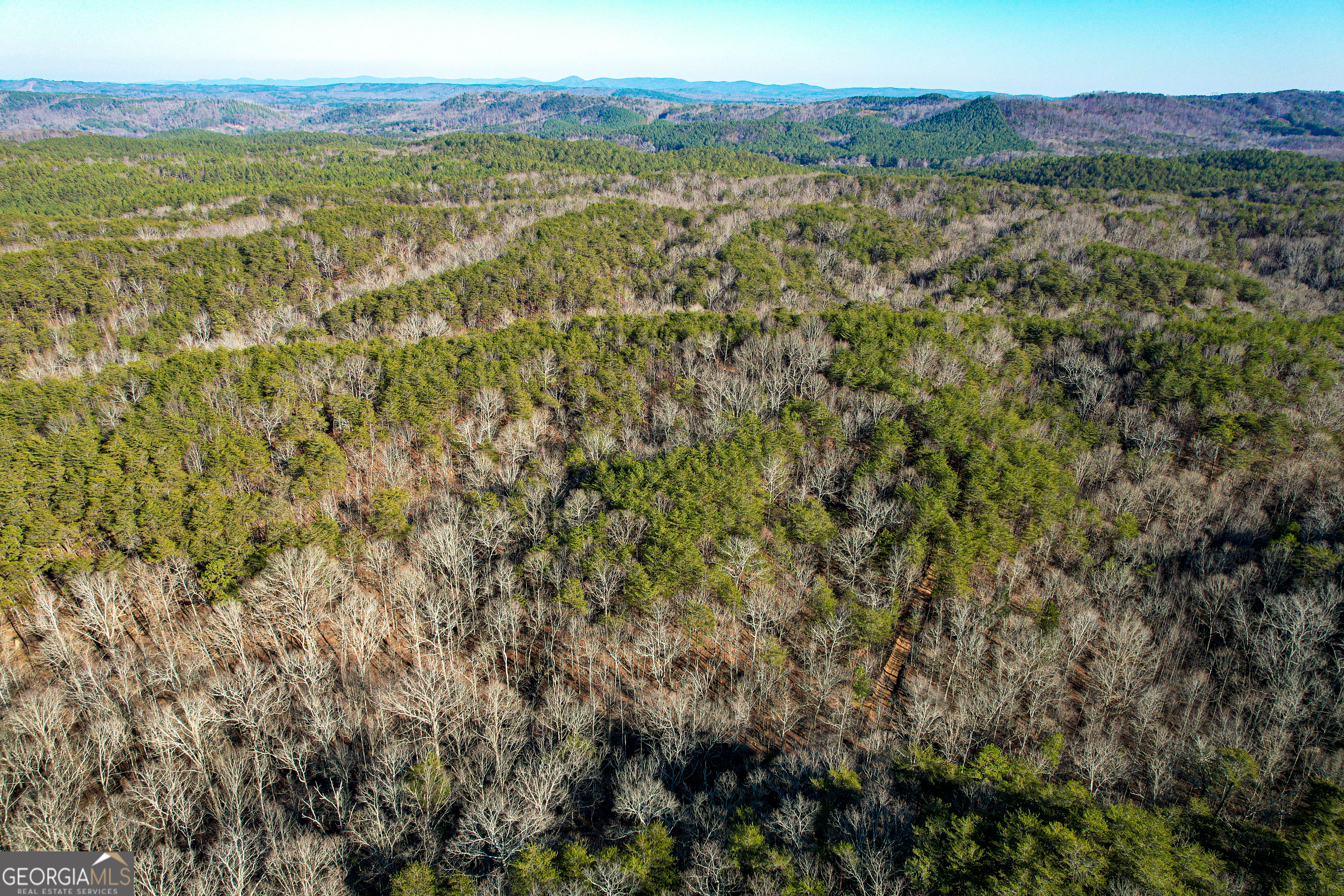 176 Acres On Arnold Road Property Photo