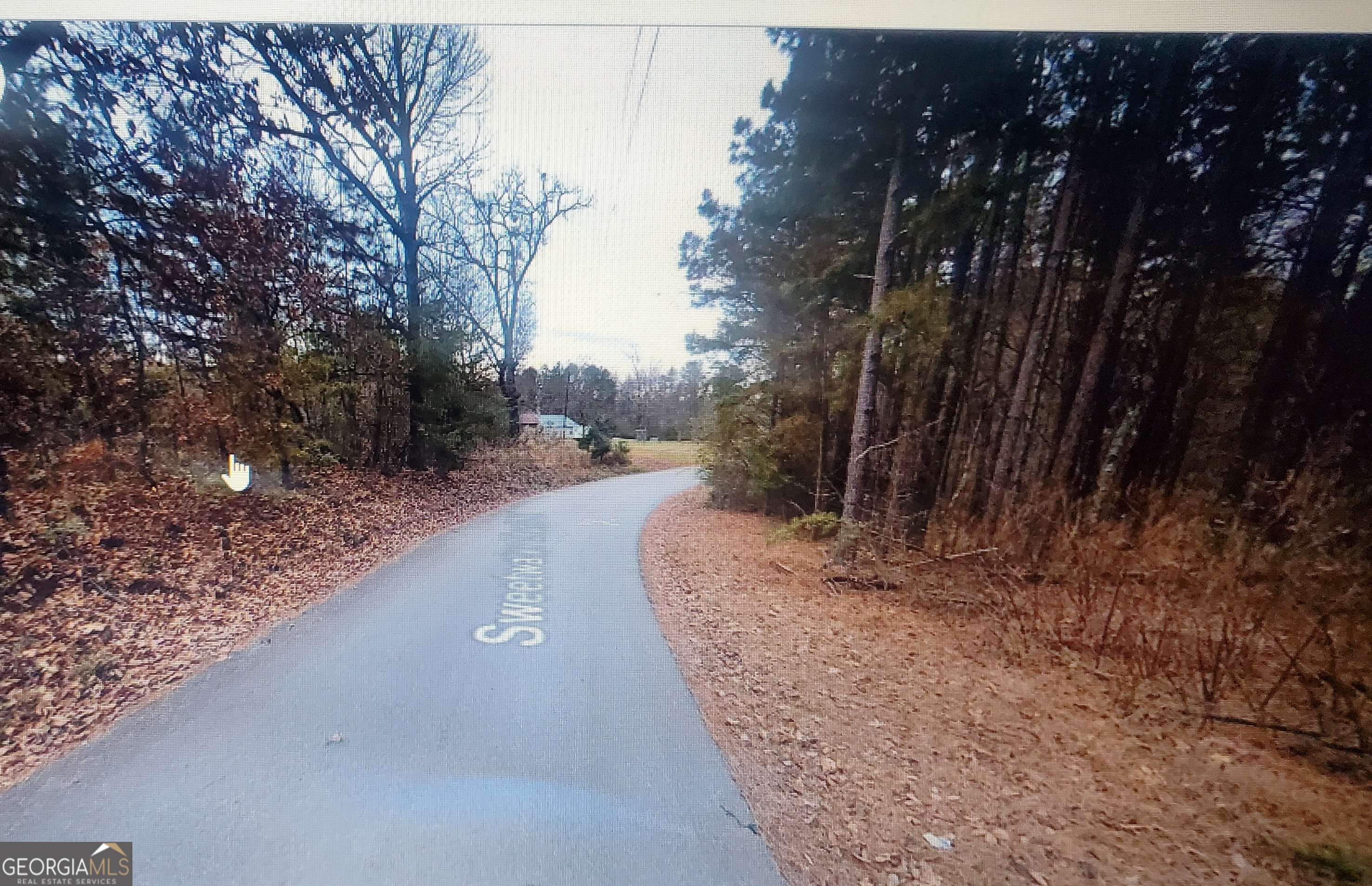 0 Sweetwater Church Road Property Photo 3