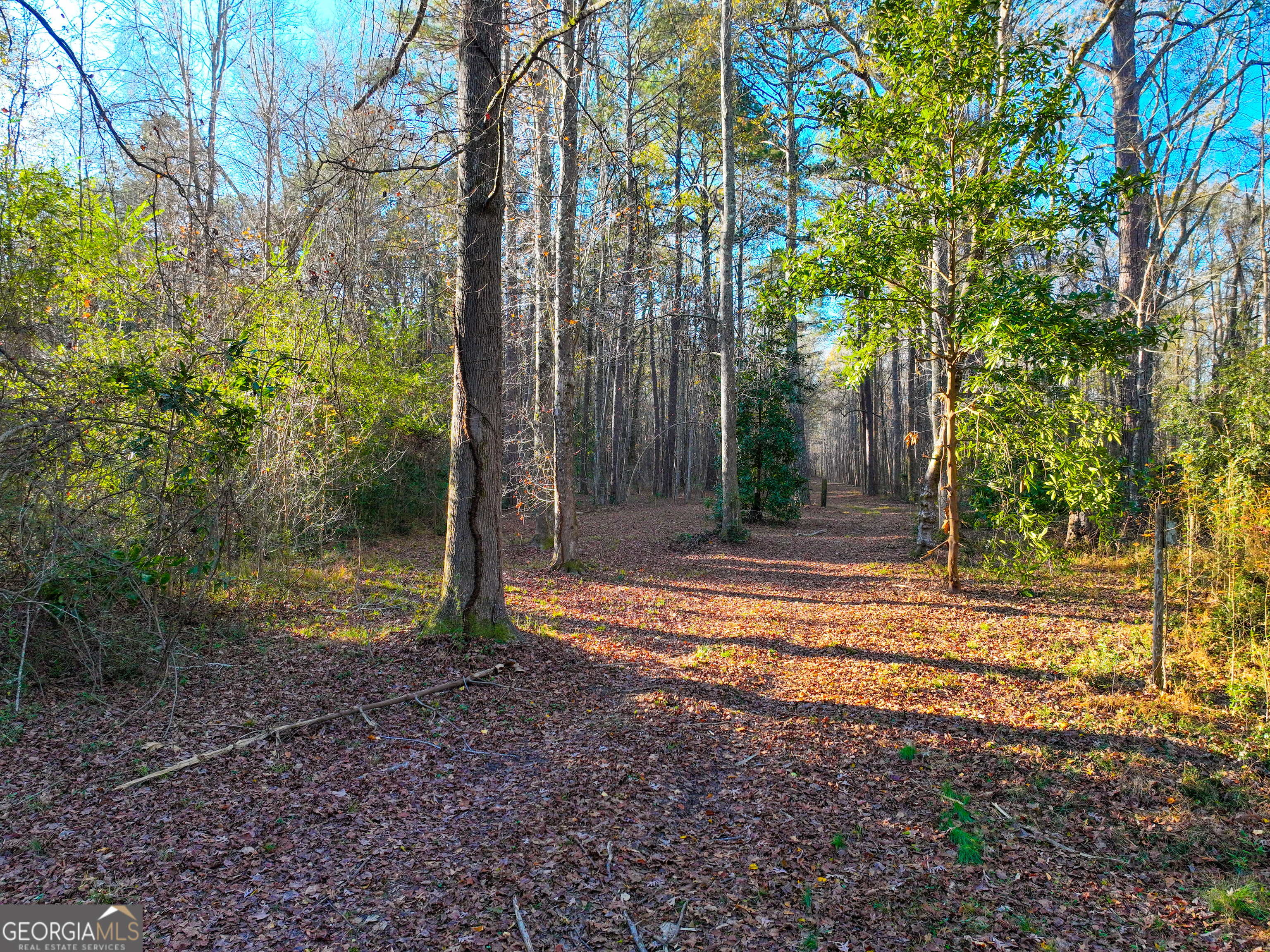 0 Hickory Ridge Road Property Photo