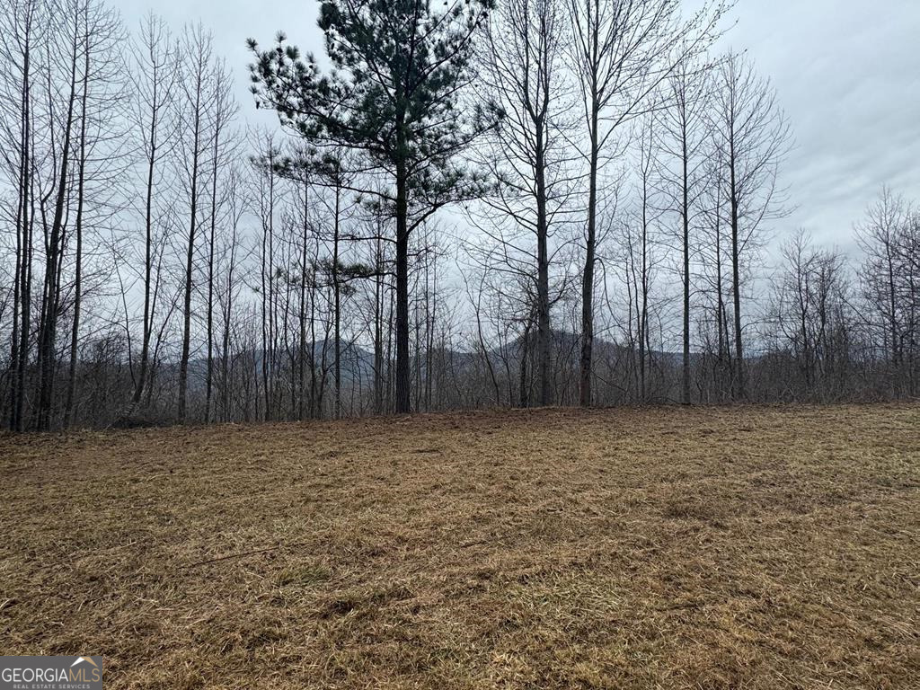 LOT 10 Chatuge Manor Drive