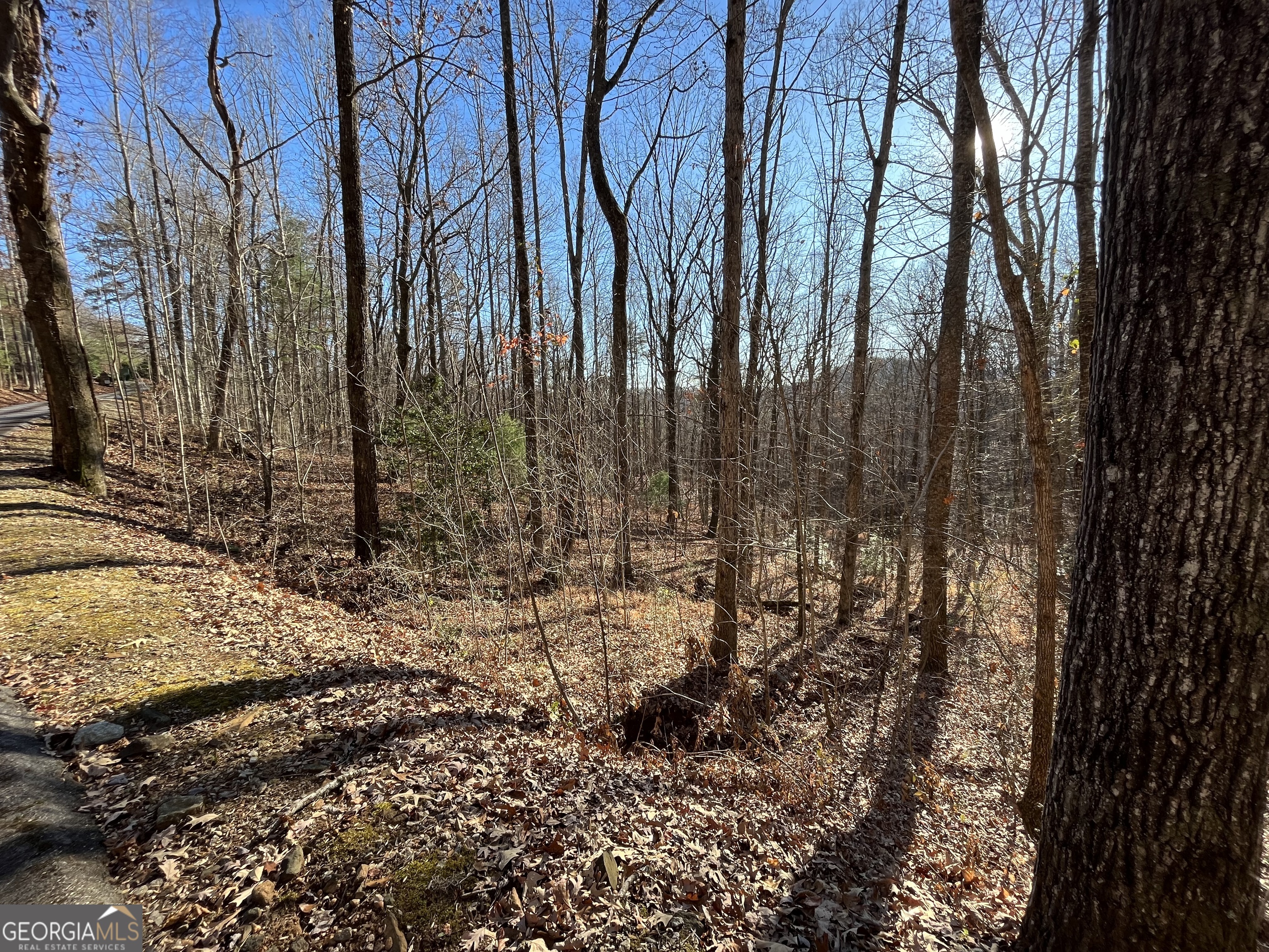 0 Forest Canopy Way Lot 2 Property Photo