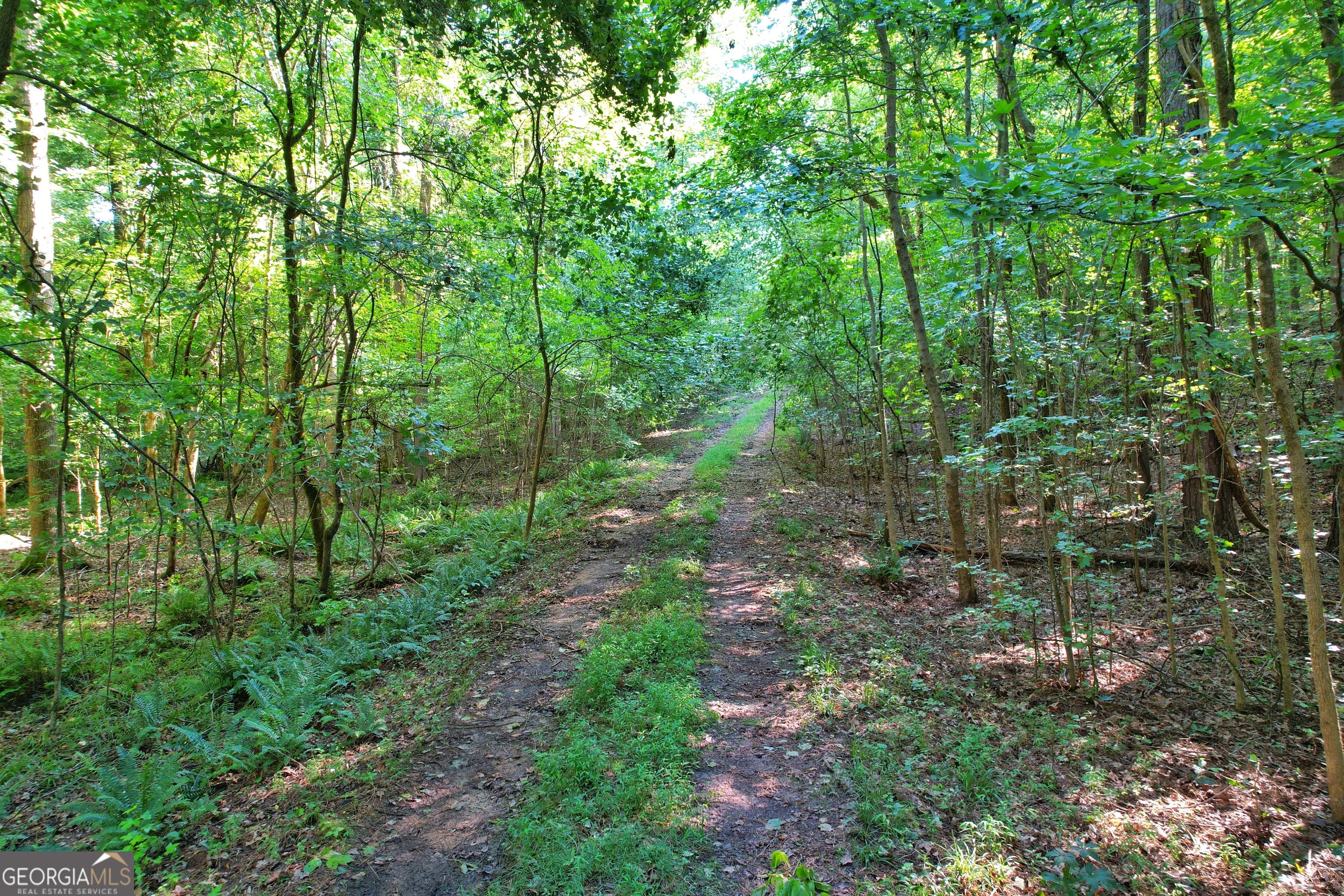 198.62+/- Acres Apalachee Woods Trail Property Photo