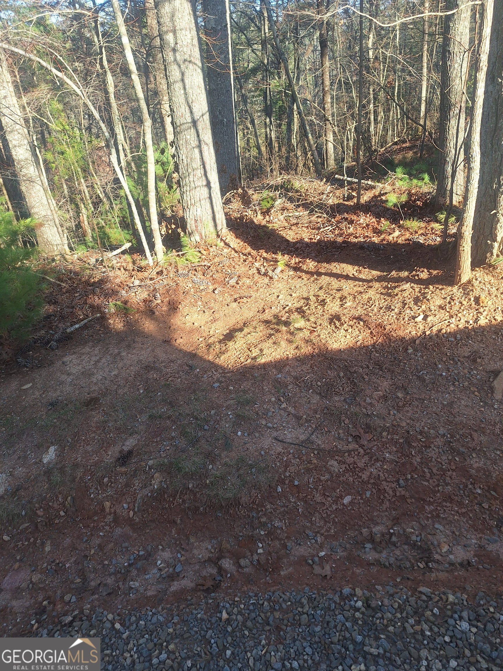 0 Toccoa River Forest Property Photo