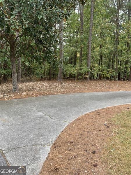 4596 Lenora Church Road Property Photo 2