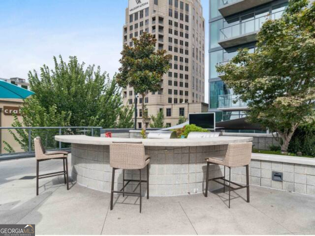 3382 Ne Peachtree Road # S12 Property Photo 42