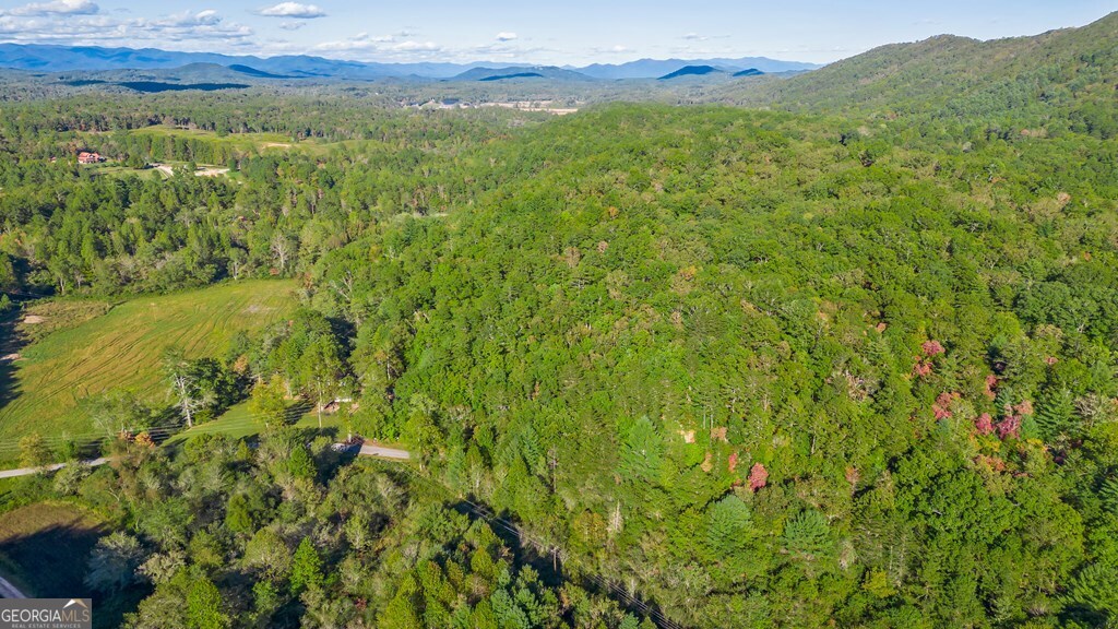 867 Haygood Road Property Photo 4