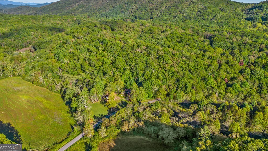 867 Haygood Road Property Photo 11