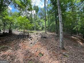 484 Star Lake Lane Property Photo 1