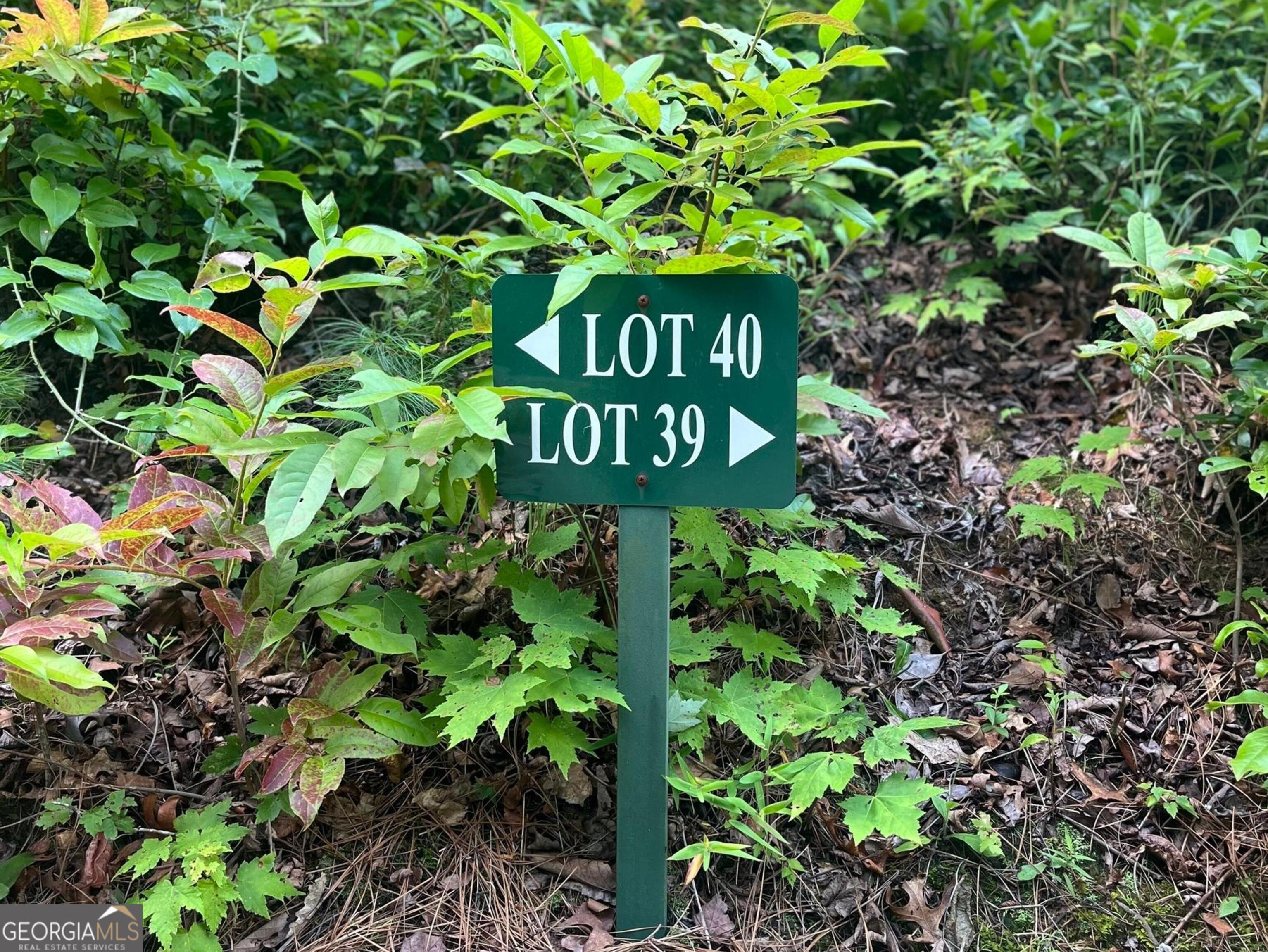 Lot 40 Anderson Dr Property Photo 1