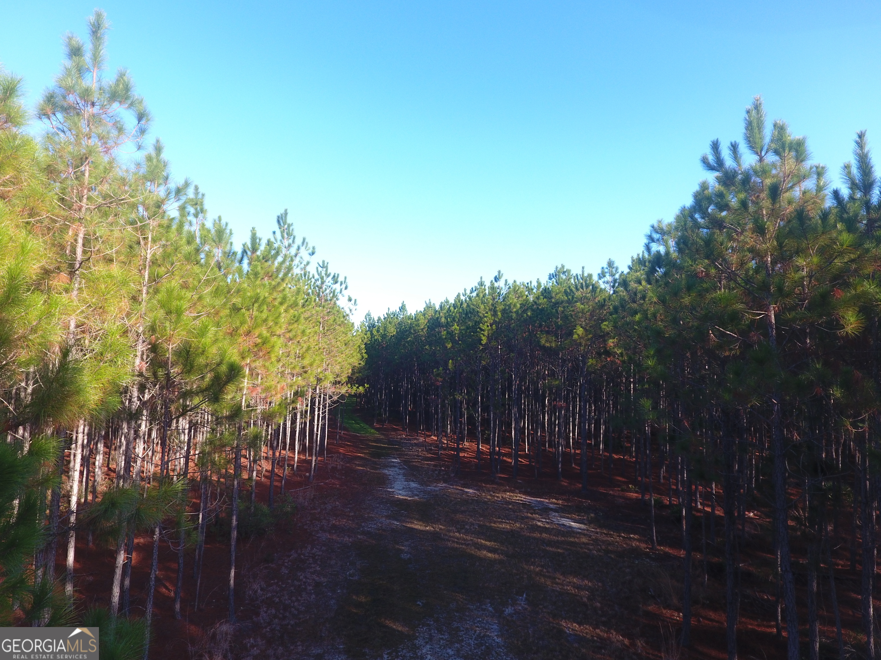 0 Scuffletown Highway Property Photo 6