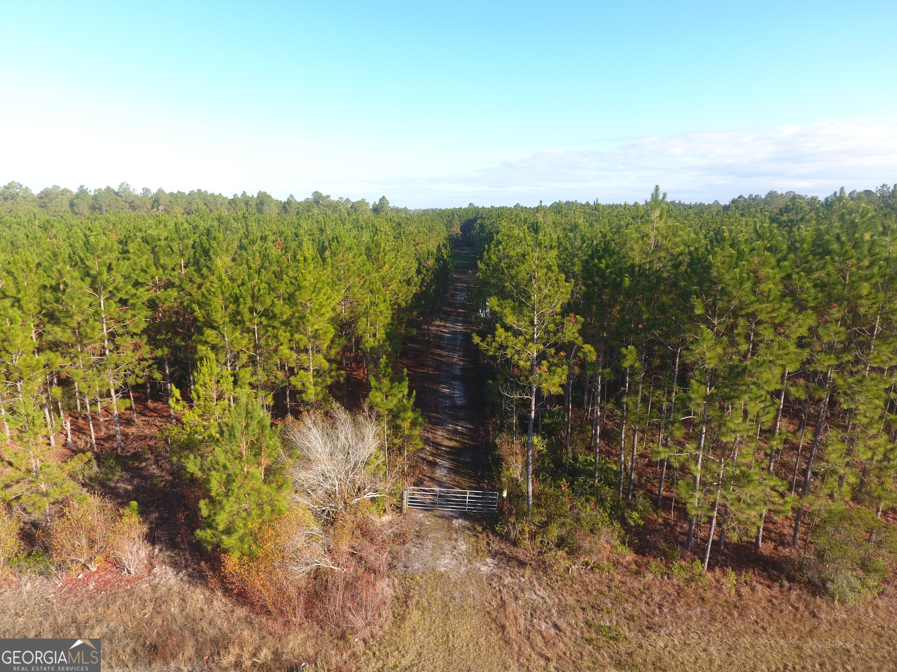 0 Scuffletown Highway Property Photo 8