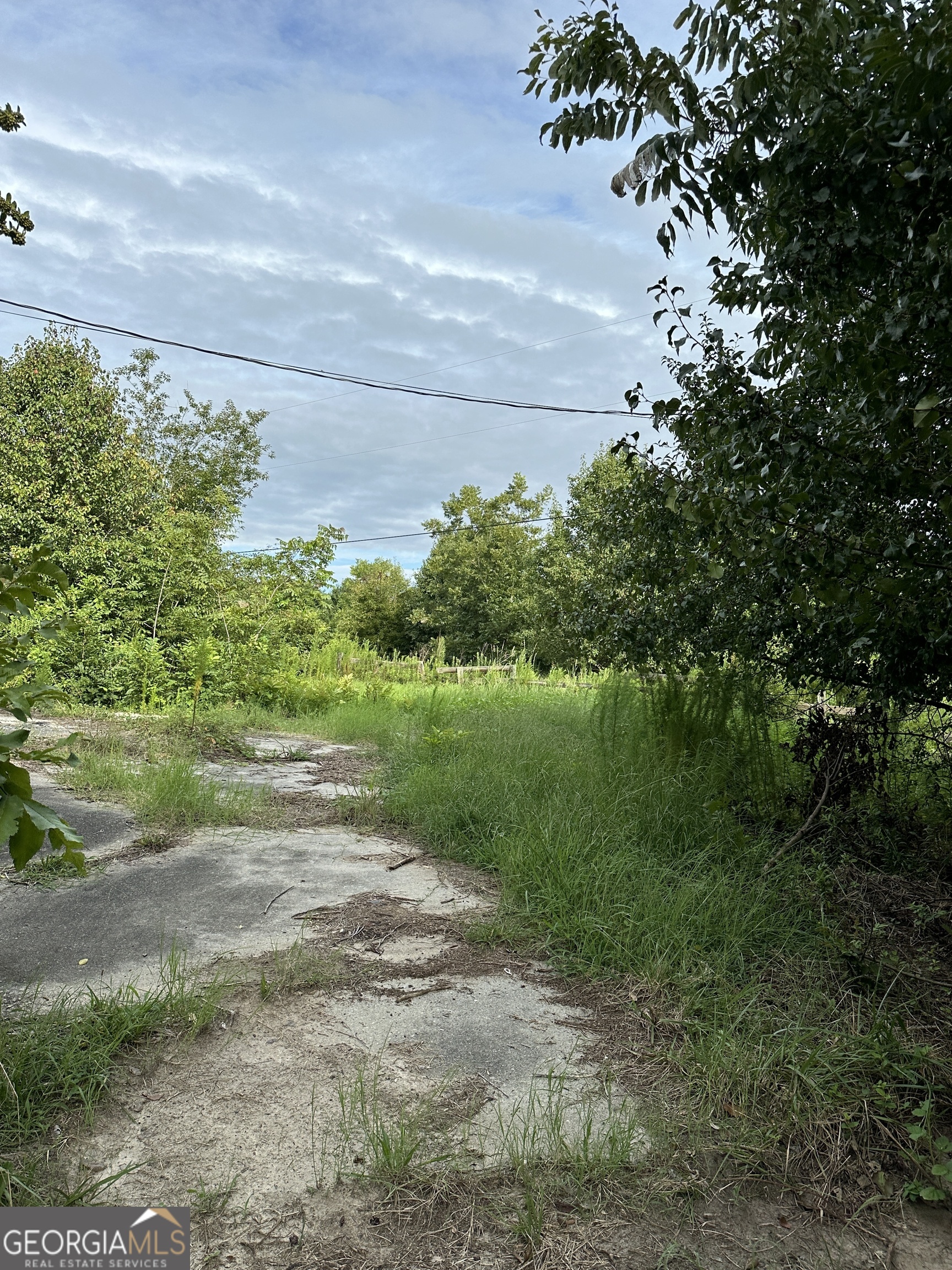 1890 Ga Highway 81 Property Photo 3