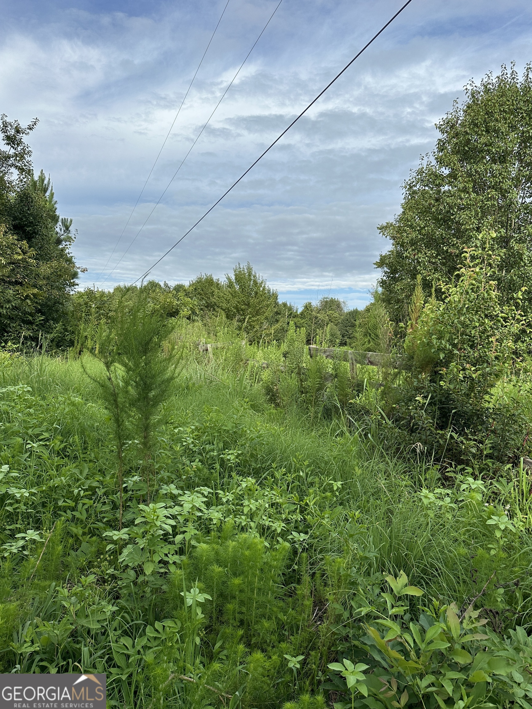 1890 Ga Highway 81 Property Photo 4