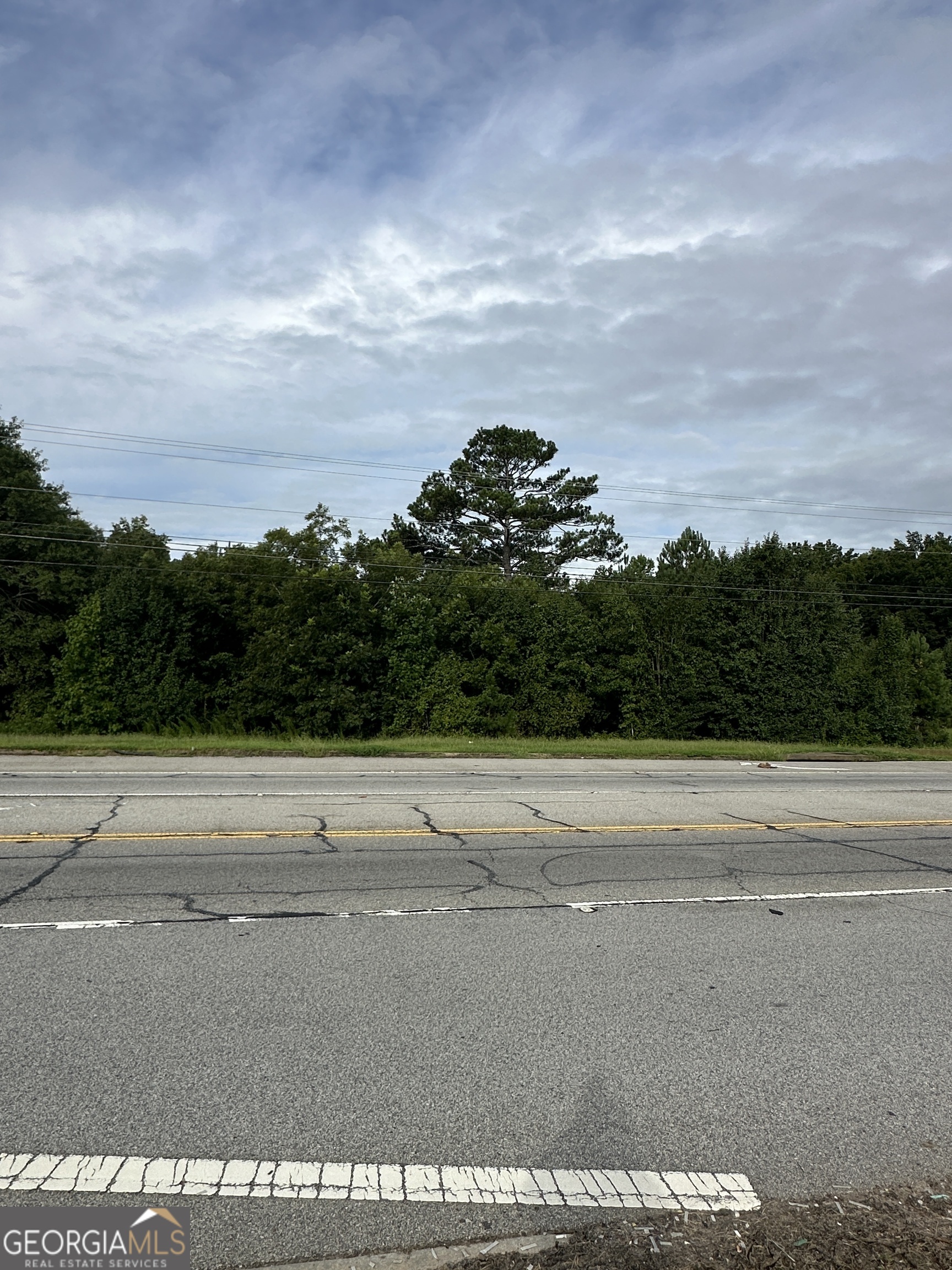 1890 Ga Highway 81 Property Photo 5