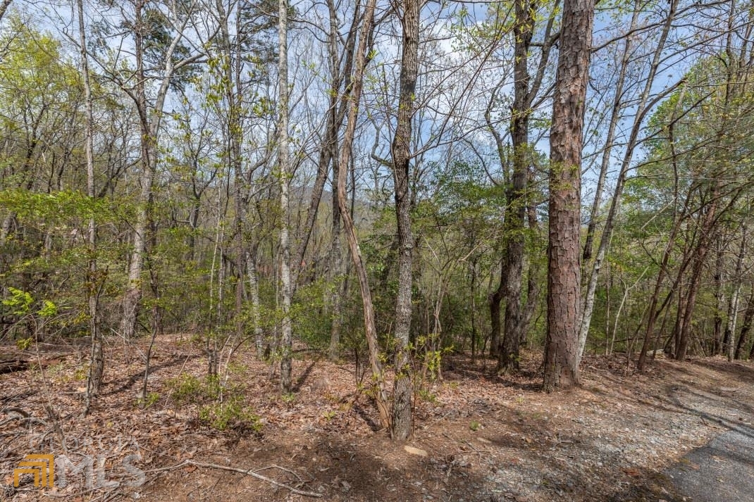 Lot 59 Big Creek Mountain Property Photo