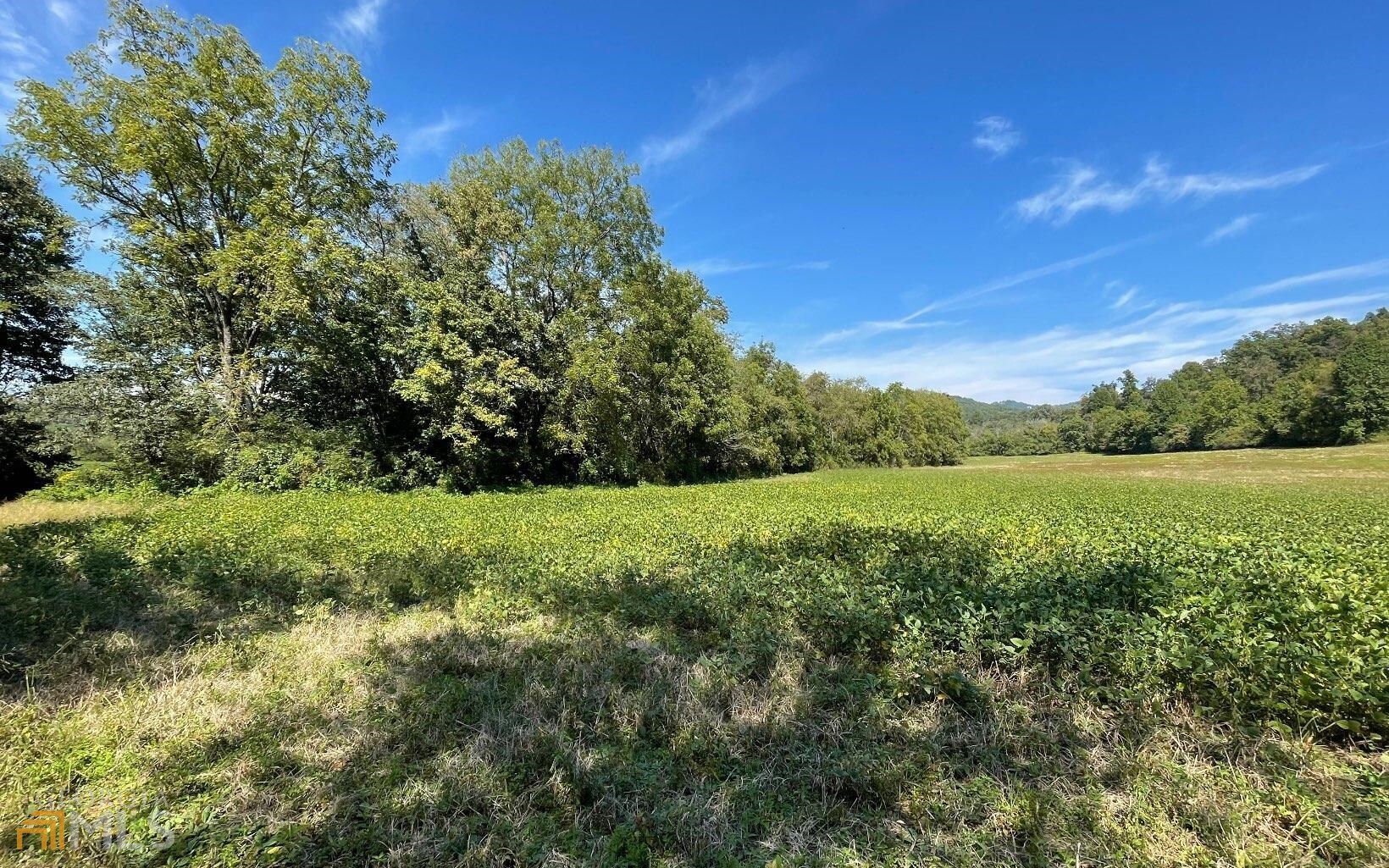 37+ Acres Jarrett Road Road Property Photo