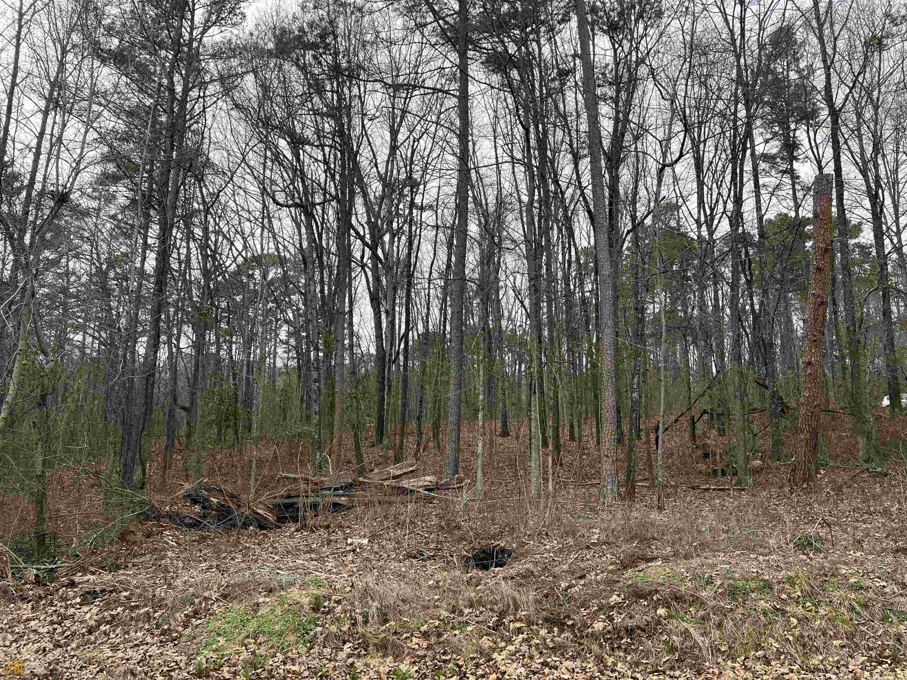 Lot 4 Hogan Road Lot 4 Property Photo