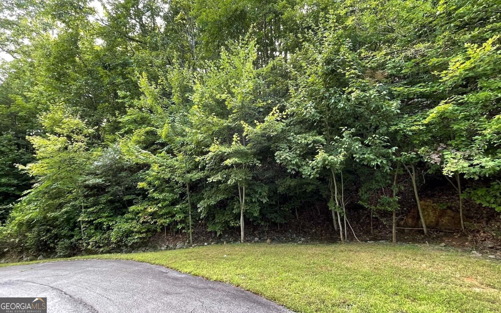 LOT 34 Overlook At Young Harris Property Photo 1