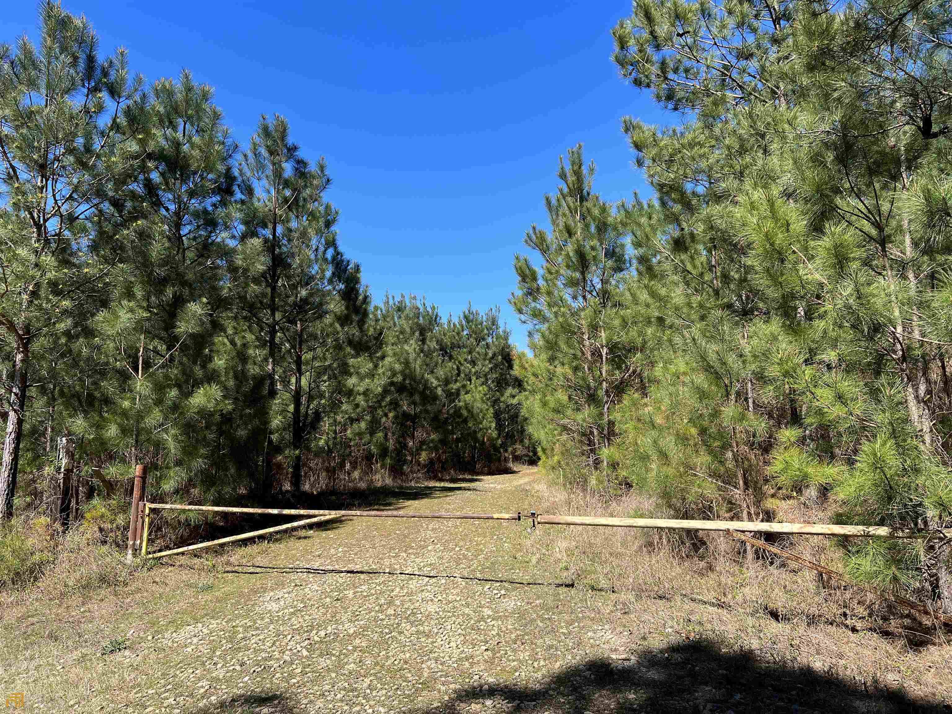 0 Windridge Lane Property Photo 2