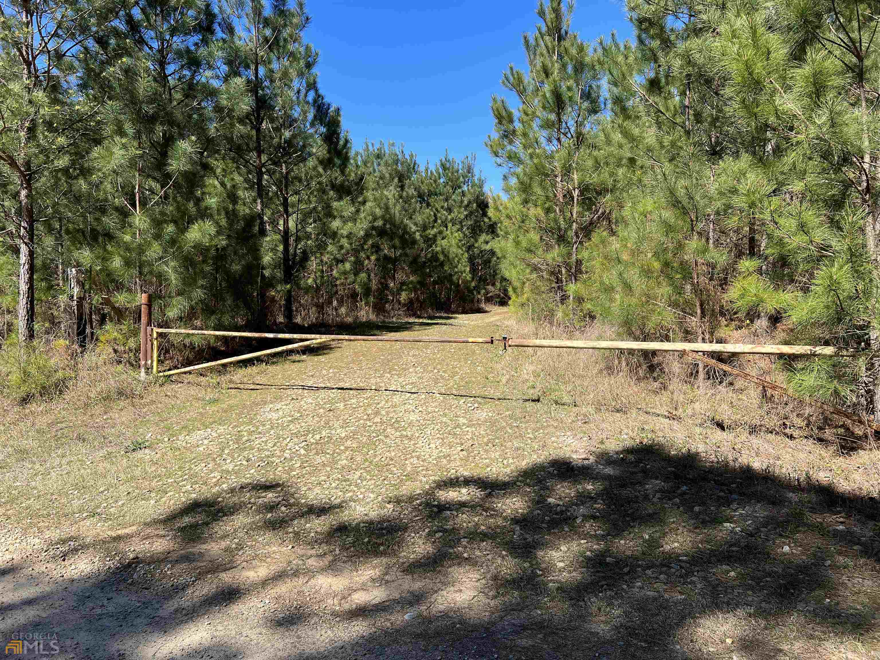 0 Windridge Lane Property Photo 5