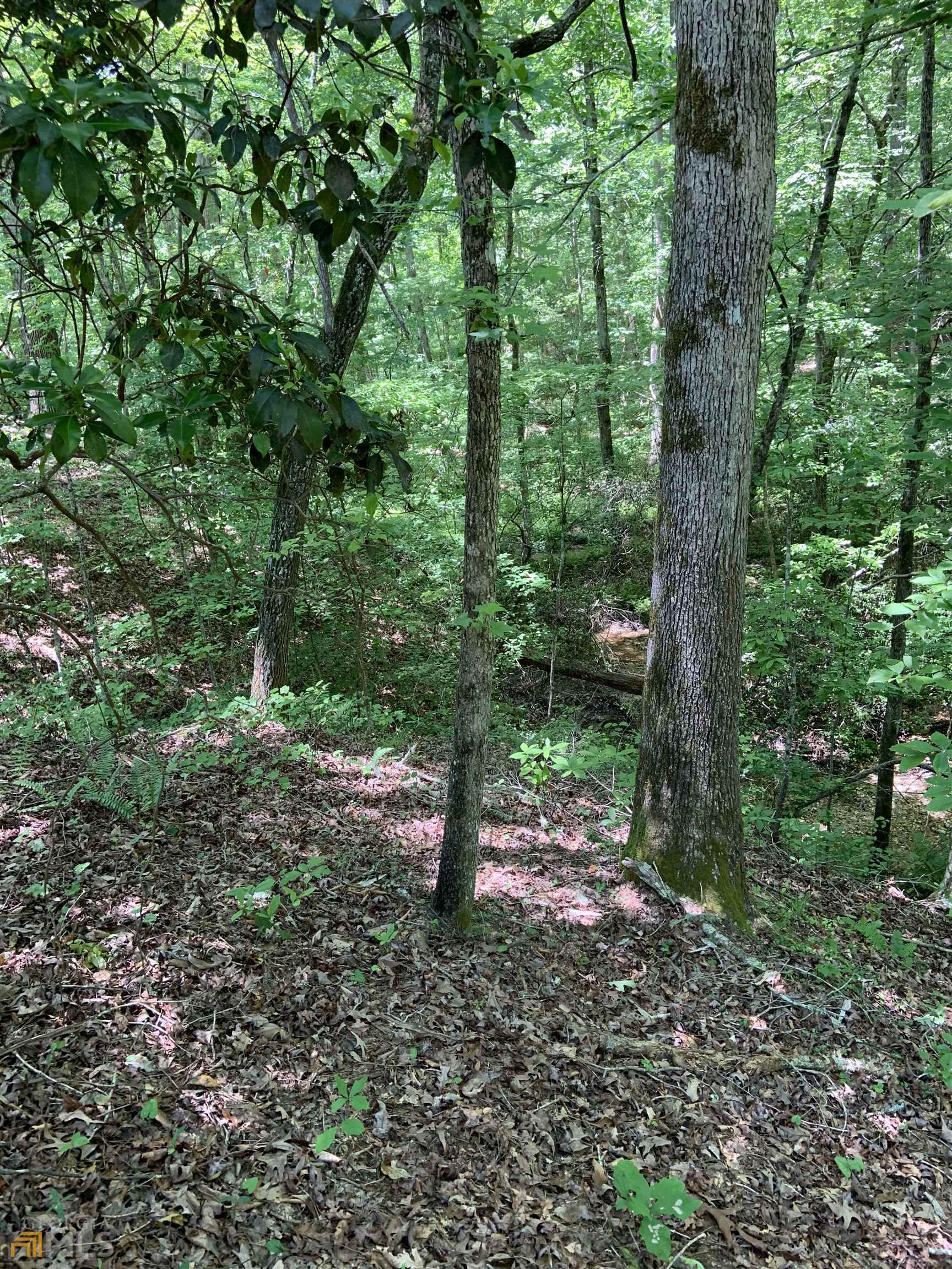 0 Windridge Lane Property Photo 10