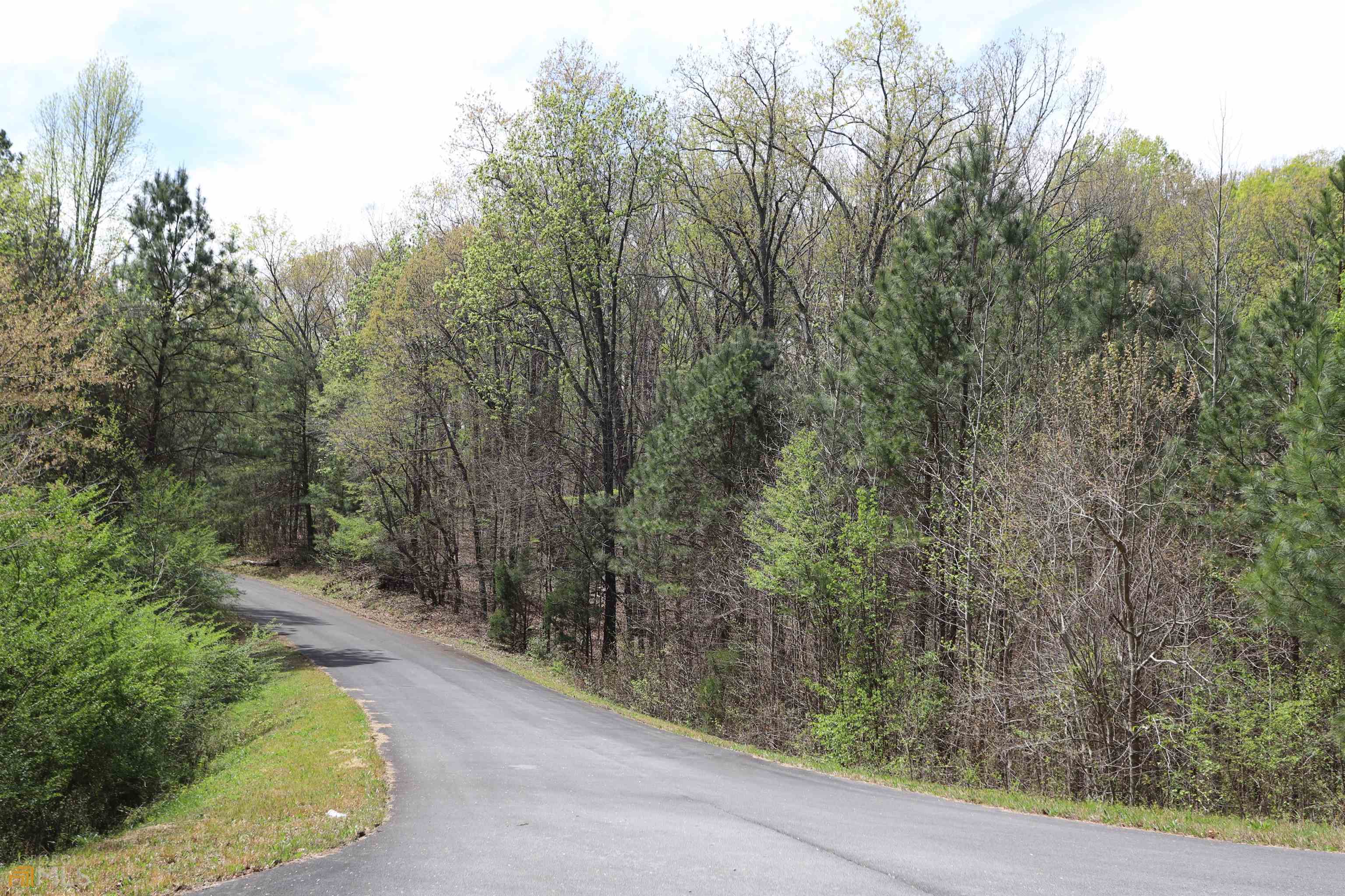 0 Autumnwood Drive Property Photo 3