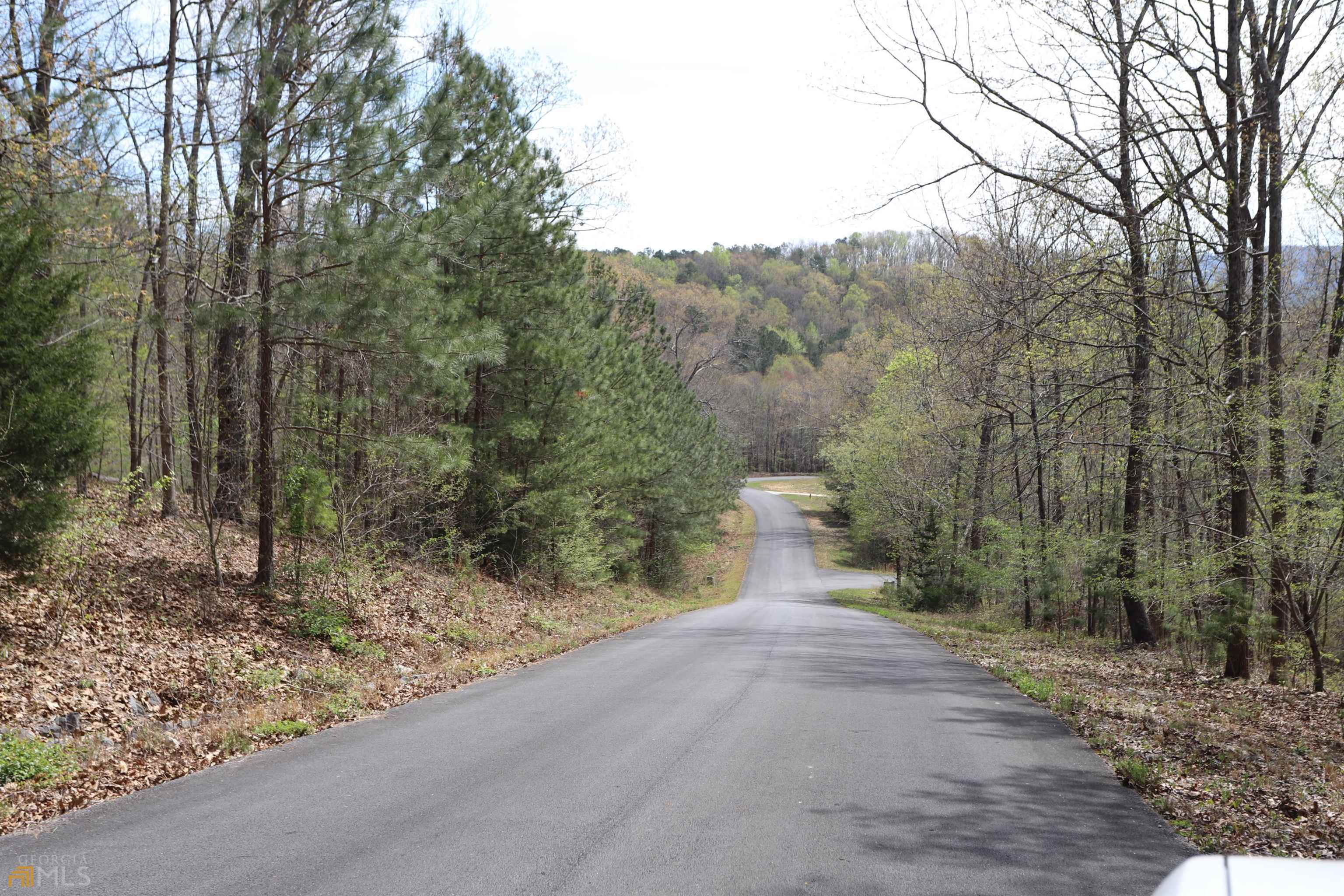 0 Autumnwood Drive Property Photo 12
