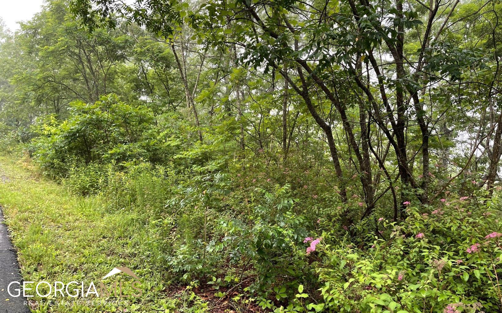 Lot 7 Trillium Heights Property Photo 1