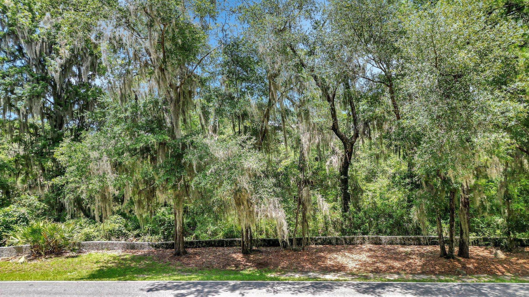 Lot 10 St Josephs Point Property Photo