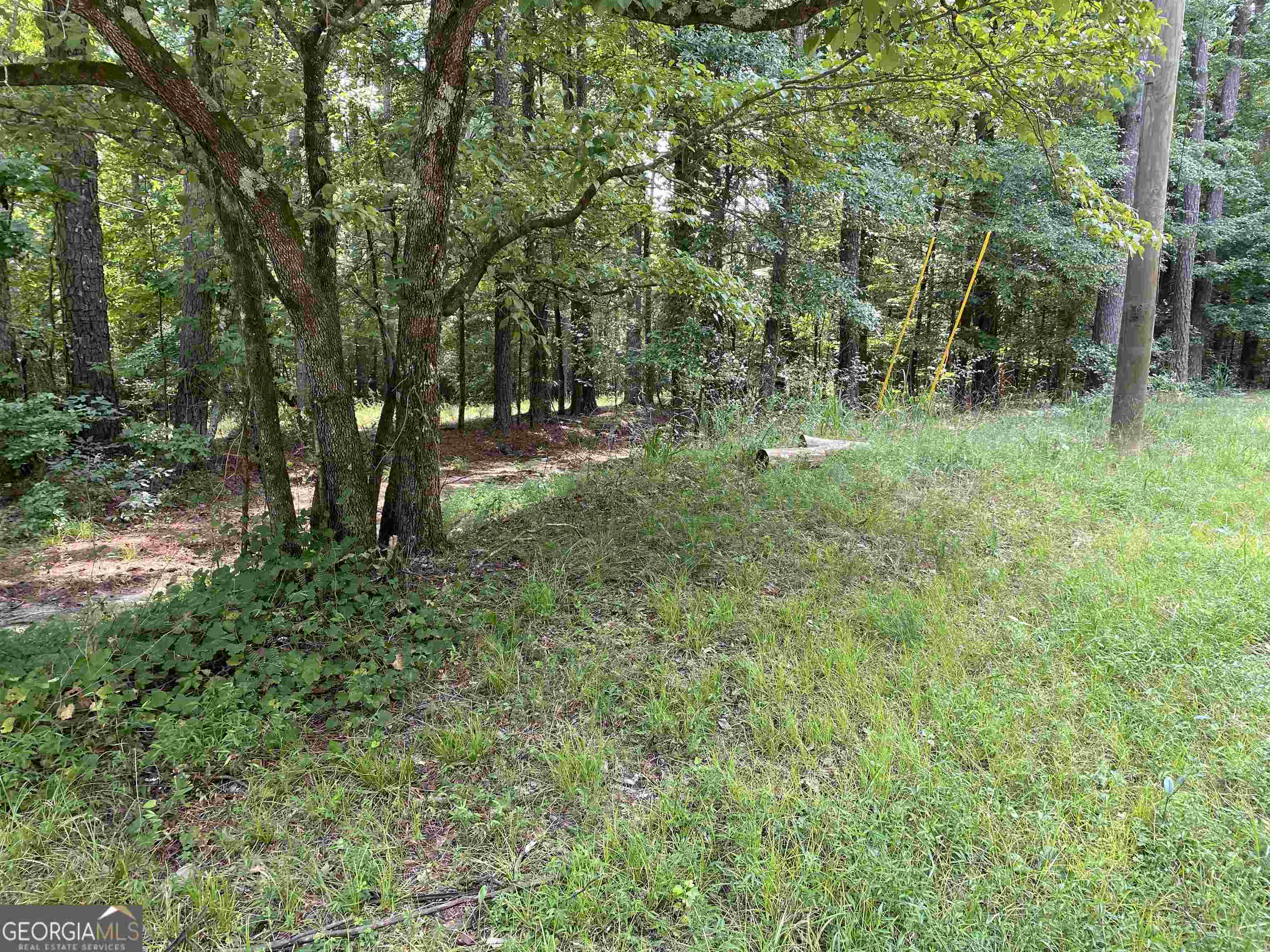 2607 Horseleg Creek Road Property Photo 2