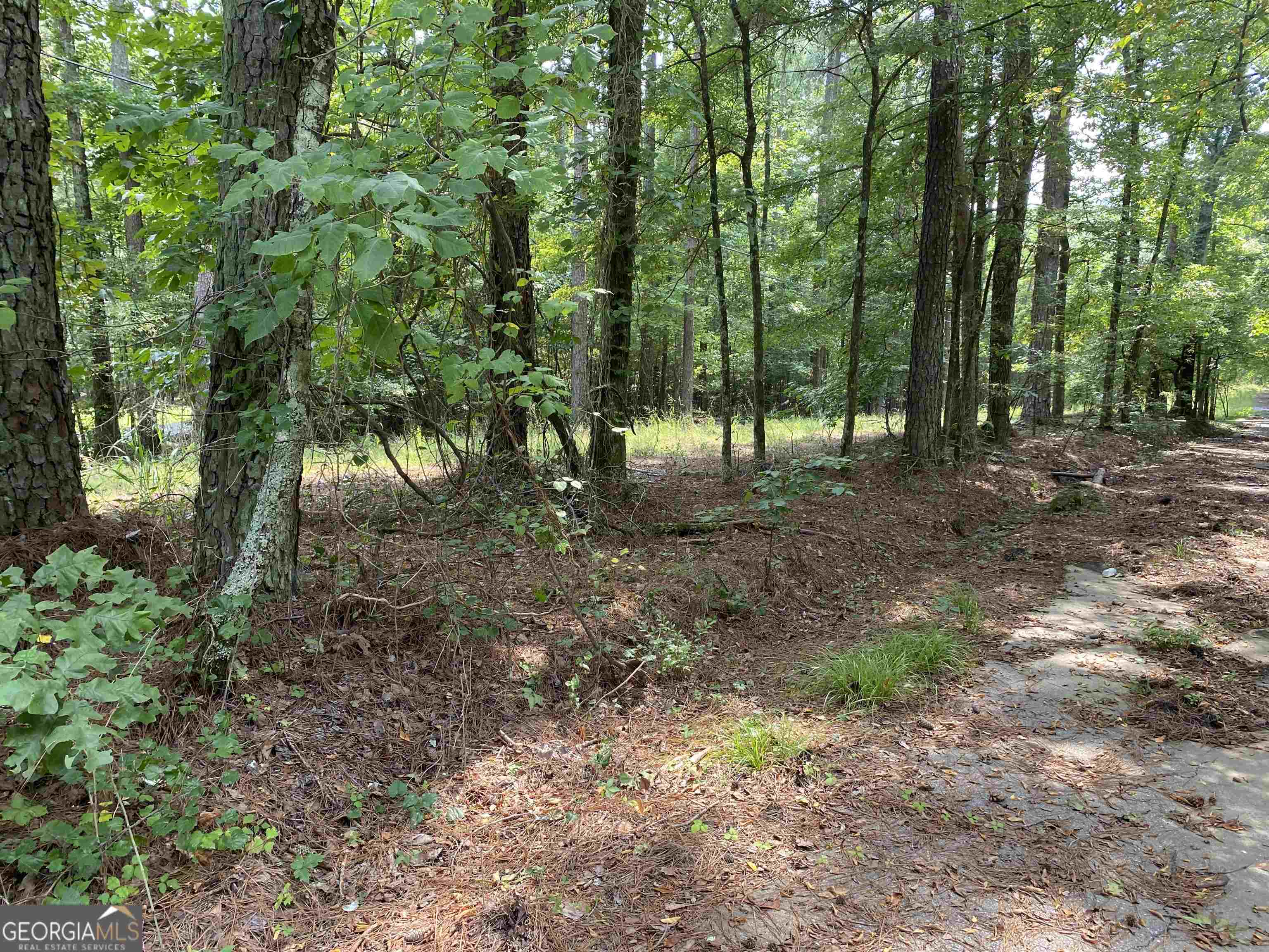 2607 Horseleg Creek Road Property Photo 3