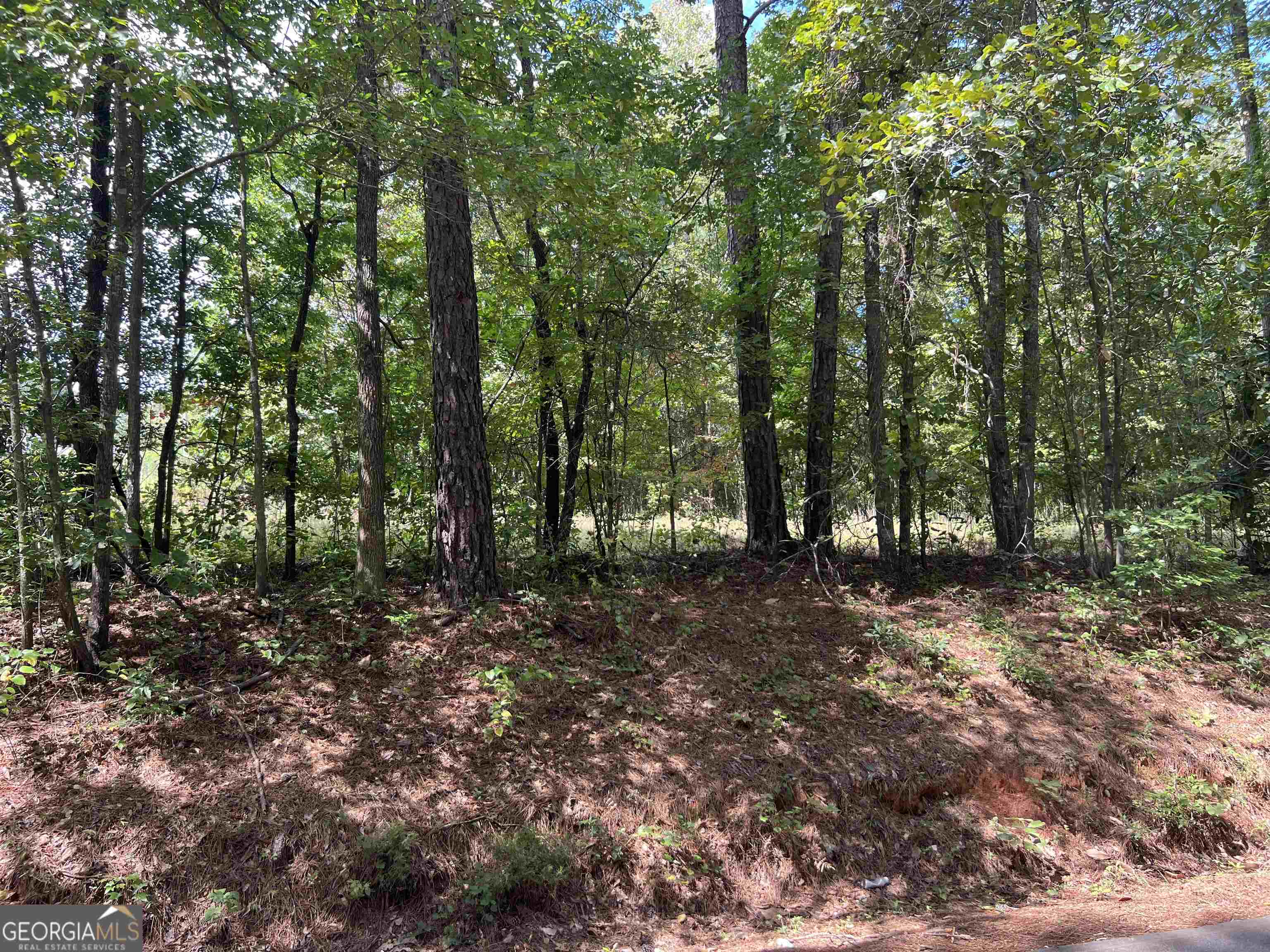 Lot 15 Weems Road Property Photo