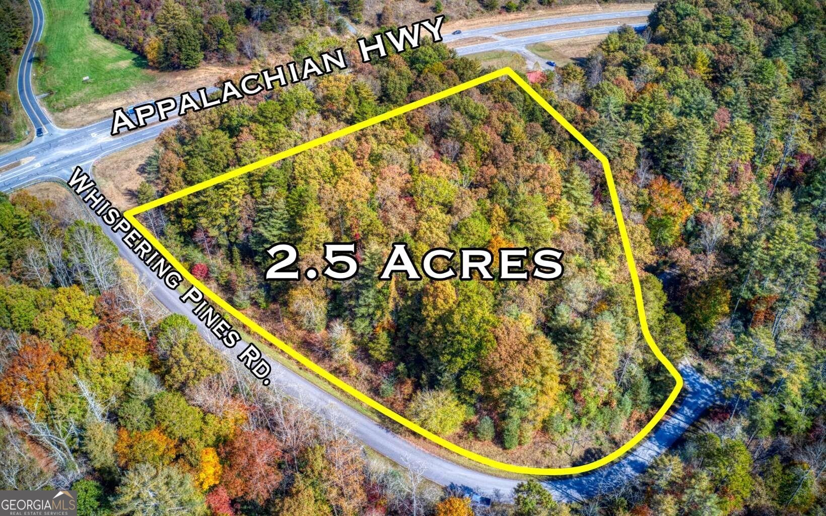 0 Whispering Pines And Hwy 515 Highway Property Photo