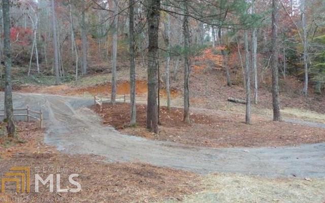 Lot 9 Brasstown Trails # 9 Property Photo 7