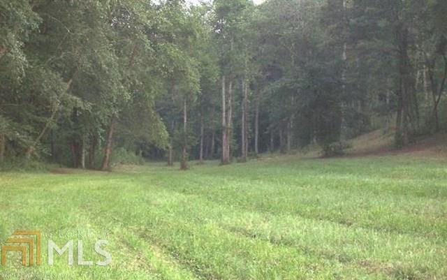 Lot 9 Brasstown Trails # 9 Property Photo 24