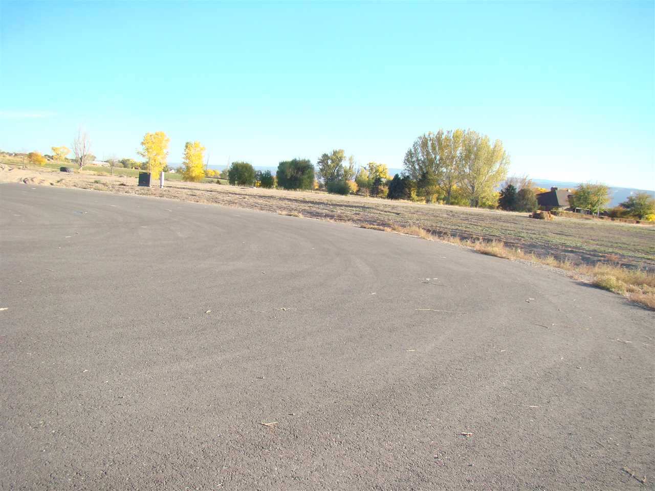 1646 Saddle Ring Court Property Photo 3