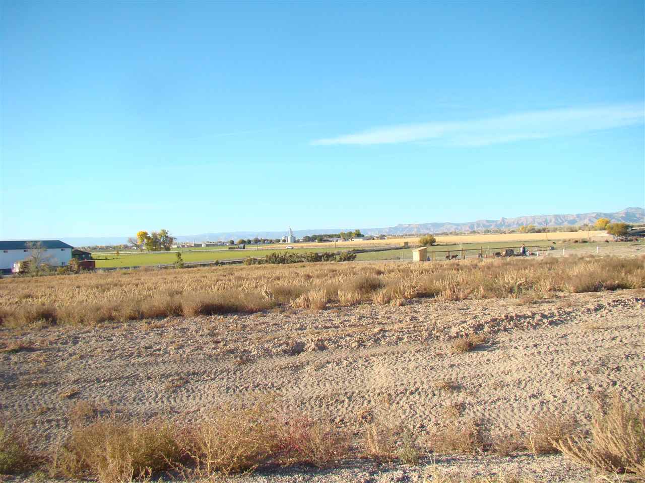 1646 Saddle Ring Court Property Photo 4