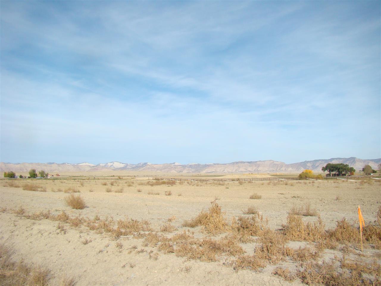 1646 Saddle Ring Court Property Photo 8