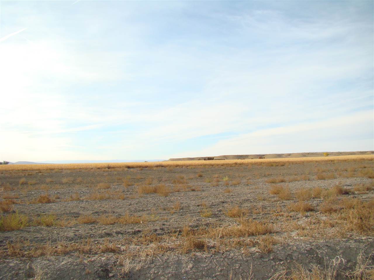 1646 Saddle Ring Court Property Photo 10