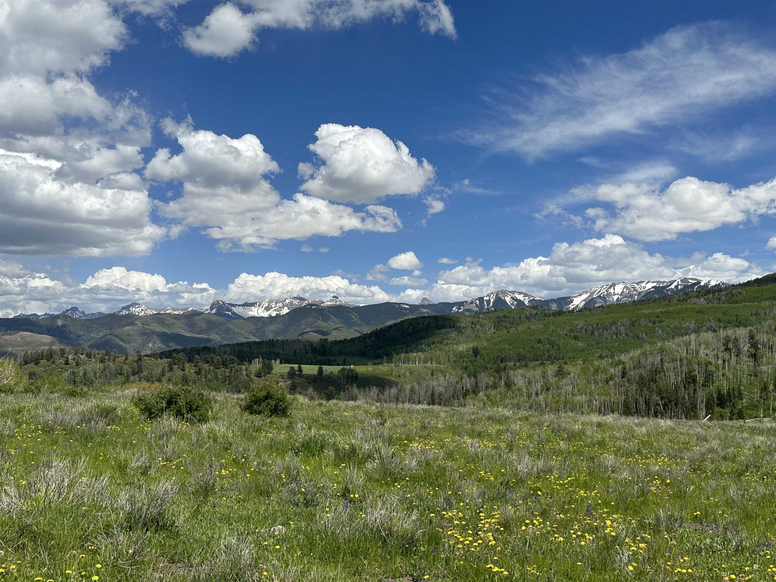 Tbd County Road 5 Property Photo 4